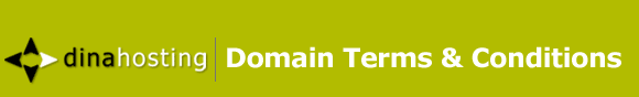 Domain Terms & Conditions